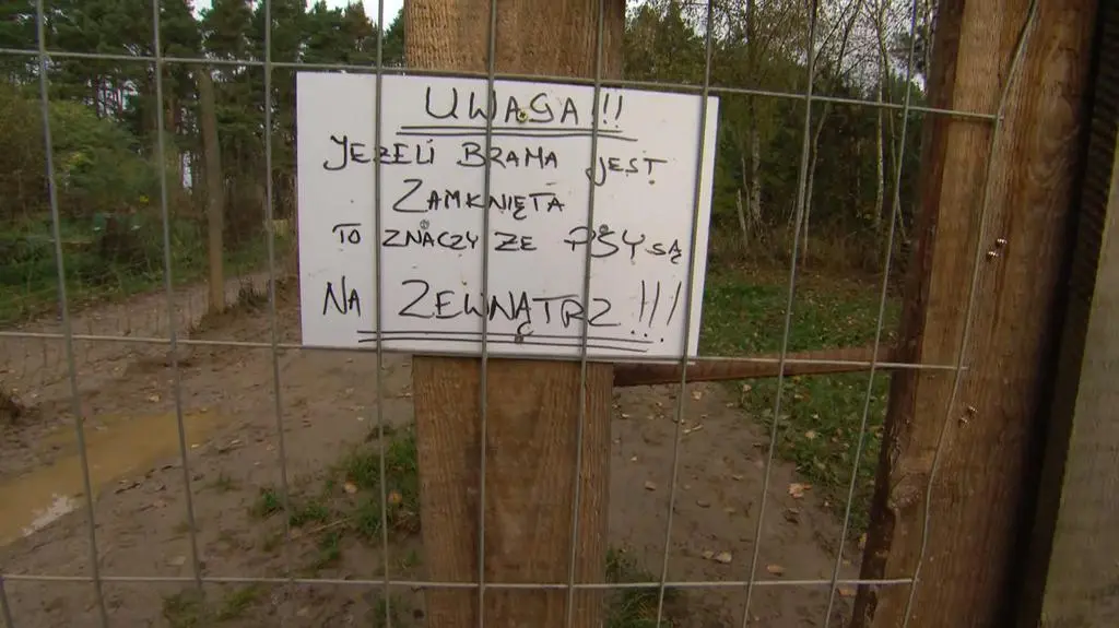 Strzelnica w Raculi