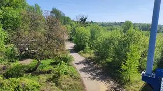 Toruń. Wieżowiec ma powstać na obszarze chronionym Natura 2000