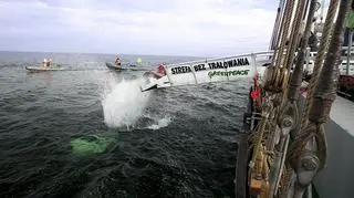 Głazy zrzucano z pokładu statku Beluga II