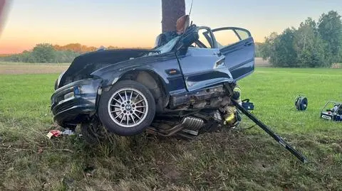 Auto owinęło się wokół drzewa
