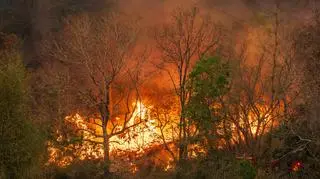 Tej suszy nie zatrzyma deszcz. Może zaostrzyć pożary