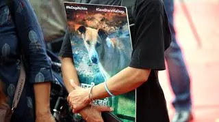 Miłośniczka psów w Delhi trzyma plakat, oczekując na werdykt Sądu Najwyższego 