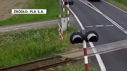 PLK S