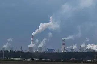 Zakłady Azotowe "Puławy"