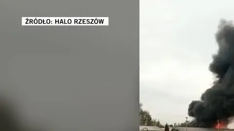 halo rzeszow