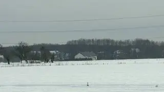 Wielkopolska. Wielu odbiorców wciąż bez prądu