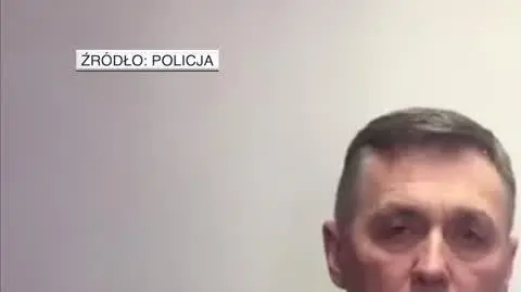 policja