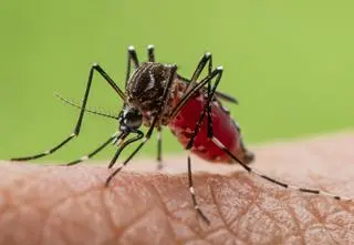 Wprowadzono stan zagrożenia. Jest apel do mieszkańców