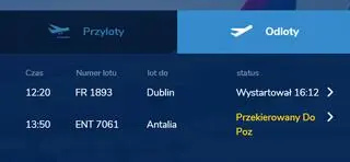 Na czas naprawy usterki musieli wstrzymać ruch samolotów
