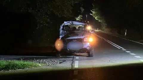 Wypadek koło Magnuszewa