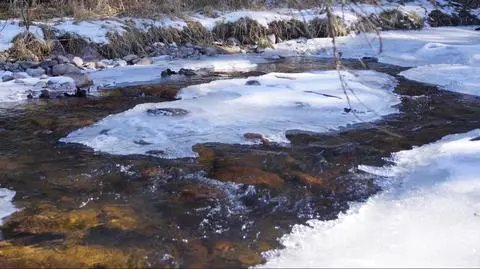 AdobeStock_897484788