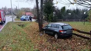 Łabędzie na jezdni, kierowca zjechał z drogi i uderzył w drzewo