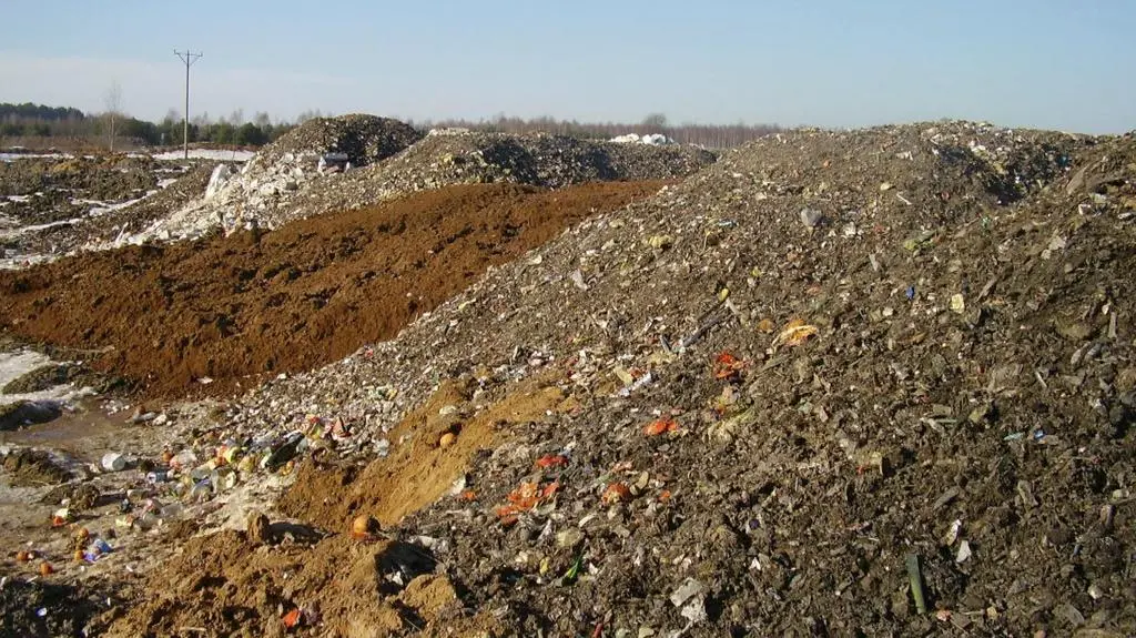 "Wirtuoz mafii śmieciowej" przyjechał i "wyłożył karty na stół"