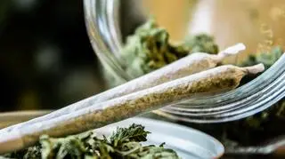 Marihuana (zdjęcie poglądowe) 