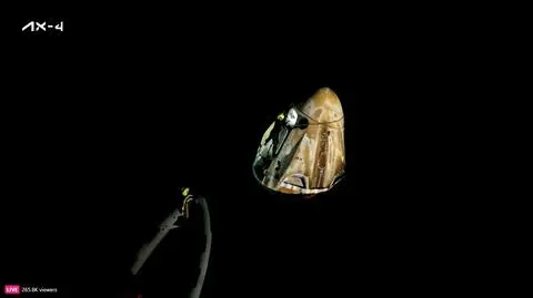 Dragon w wodach Pacyfiku