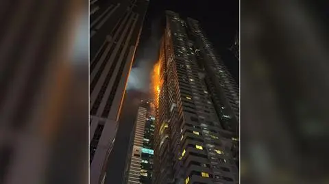 Dubai Tiger Tower