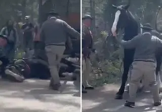 Koń upadł, woźnica uderzył go w pysk. Prokuratura: nie doszło do znęcania się