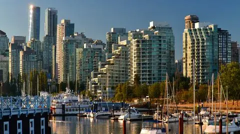 shutterstock_1154269078