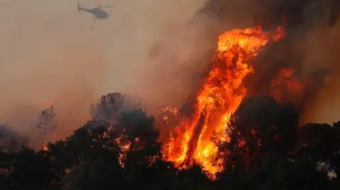 Pożary we Francji. Są ofiary śmiertelne