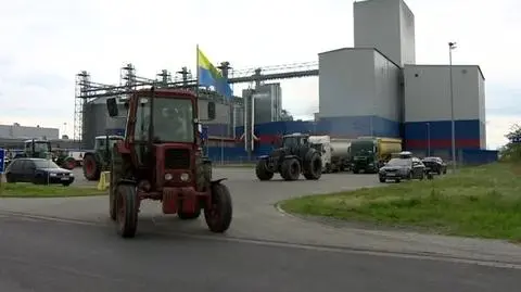 2504N340XR PIS DNZ LUBIAN ZIARNO