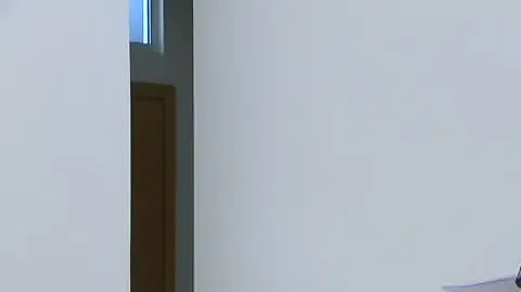 braun 1