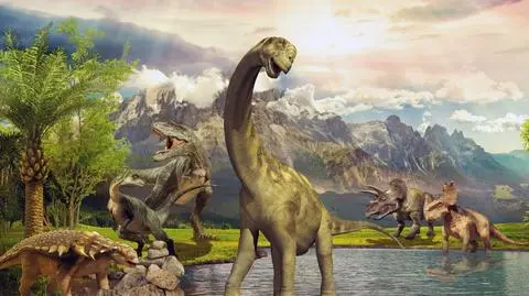 Dinozaurom też sztywniały stawy. "To pierwszy stwierdzony przypadek"