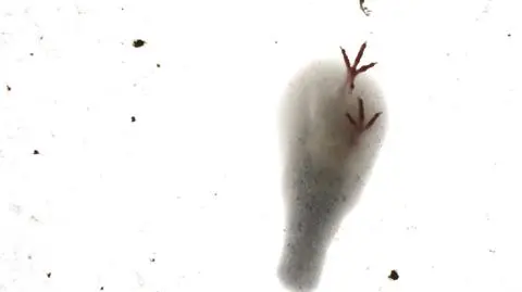 shutterstock_1539042464