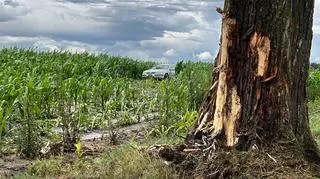 Skarpa (Kujawsko-Pomorskie). Kierowca oddalił się z miejsca zdarzenia