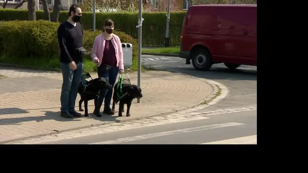 2804N315XR PIS DNZ RABIEGA PSI PRZEWODNIK