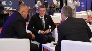 Premier Czech Andrej Babisz