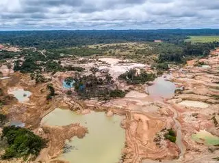 Proces deforestacji powoduje utratę nawet 400 km kwadratowych lasu miesięcznie