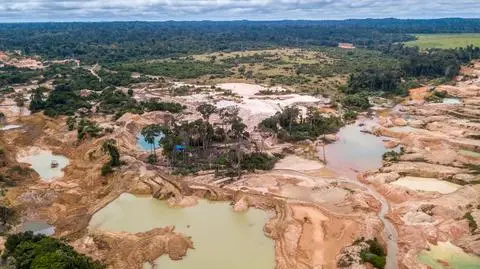 Amazonia wycinka
