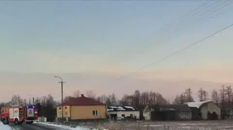 Siedmiolatek nie żyje