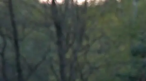 Bochniarz: chętnie bym pożyczyła od  prezesa Glapińskiego odrobinę tak dobrego samopoczucia