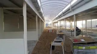 Nowa hala powstaje przy ul