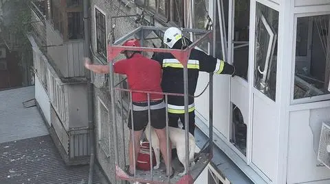 "Wśród totalnego bólu i rozpaczy, oto wiadomość jak promyk nadziei"