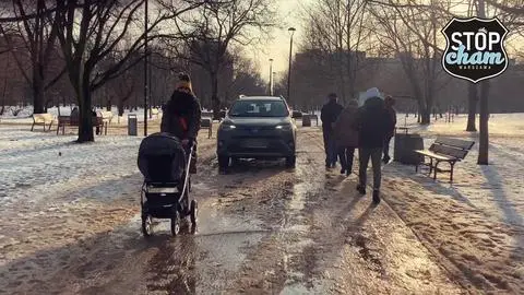 Kierowca przejeżdżał przez Park Bródnowski