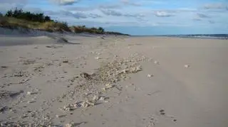 Bryły parafiny leżą na 19-kilometrowym odcinku plaży