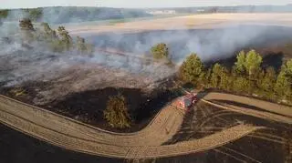 Pożar 90 hektarów pola w powiecie świebodzińskim