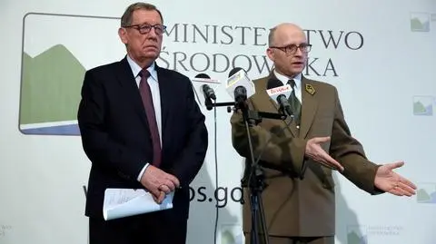Zwiększona wycinka w Puszczy Białowieskiej? Minister odpowiada