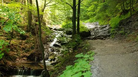 W Dolinie za Bramką znaleźli ciało mężczyzny,  spadł z dużej wysokości. "Nikt nie widział samego upadku"