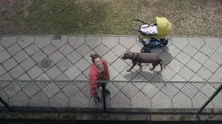 "Film balkonowy" w reżyserii Pawła Łozińskiego