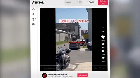 Słoń i żyrafa uciekli z planu filmowego, aktorzy ruszyli w pogoń. Nagranie 