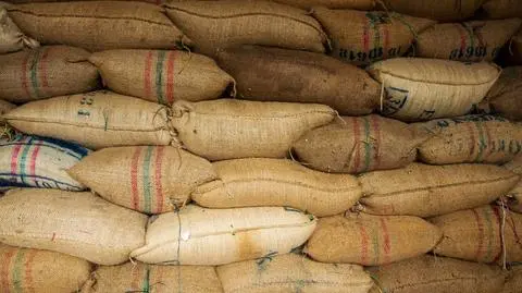 Pół tony kokainy zamiast brazylijskich ziaren. Niespodzianka w fabryce kawy