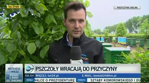 Pszczoły wracają do Przyczyny Dolnej