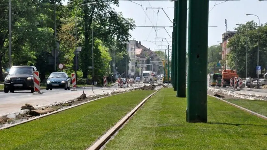 Trawa ciągnie się w stronę ul