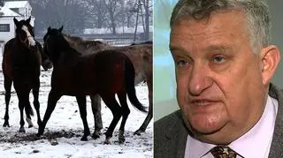Były prezes stadniny w Michałowie idzie do sądu
