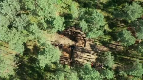 1407N389XR PIS DNZ RABIEGA AMAZONKI