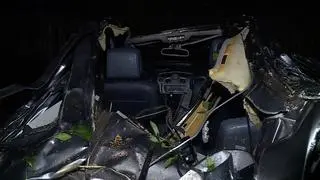 W Przemyślu na samochód spadło drzewo