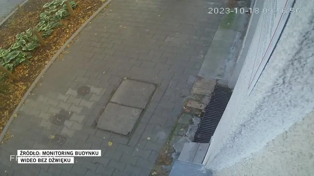2010N133V MONITORING